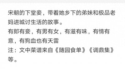 ​《宋朝乡下人的进城生活》不舍得跳过一个字的美食种田文
