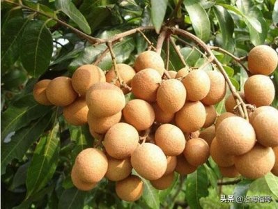 ​钦州市灵山县石塘镇