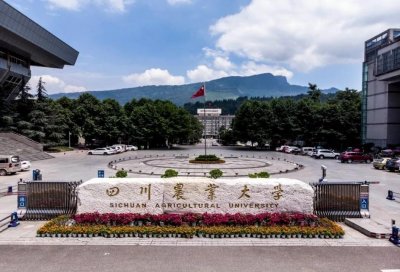 ​四川农业大学：历百年，筑山河热土；斩荆棘，守沃野万疆！