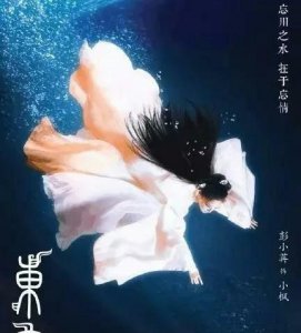 ​《东宫》作者:匪我思存(东宫by匪我思存全文阅读)