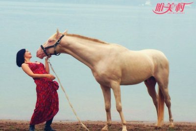 ​杨舒婷的个人资料老公是谁 孔令辉的新女友吗