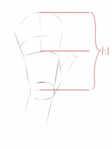 ​如何画出好看的手？手部的简单画法