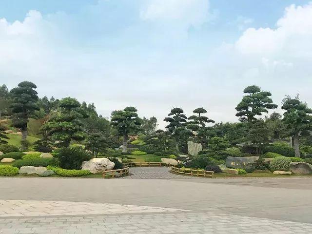 南宁园博园游玩路线（带你全方位欣赏南宁园博园美景）(37)