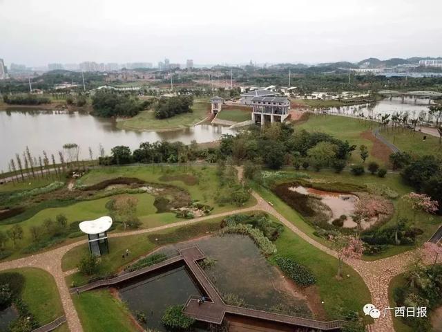 南宁园博园游玩路线（带你全方位欣赏南宁园博园美景）(6)