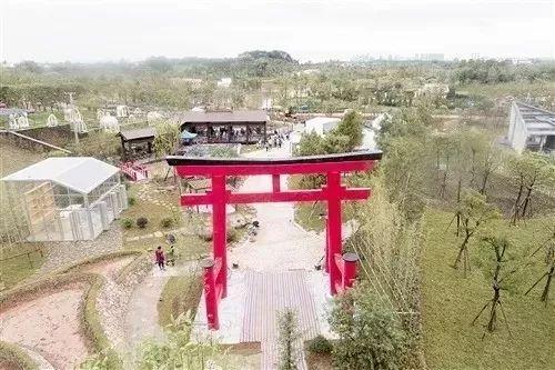 南宁园博园游玩路线（带你全方位欣赏南宁园博园美景）(33)