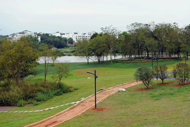 南宁园博园游玩路线（带你全方位欣赏南宁园博园美景）(22)