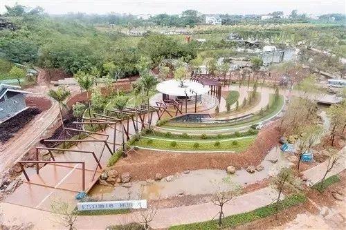 南宁园博园游玩路线（带你全方位欣赏南宁园博园美景）(32)