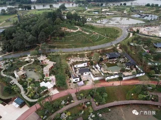 南宁园博园游玩路线（带你全方位欣赏南宁园博园美景）(15)