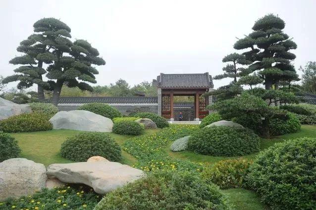 南宁园博园游玩路线（带你全方位欣赏南宁园博园美景）(17)