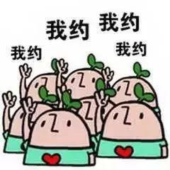 南宁园博园游玩路线（带你全方位欣赏南宁园博园美景）(43)