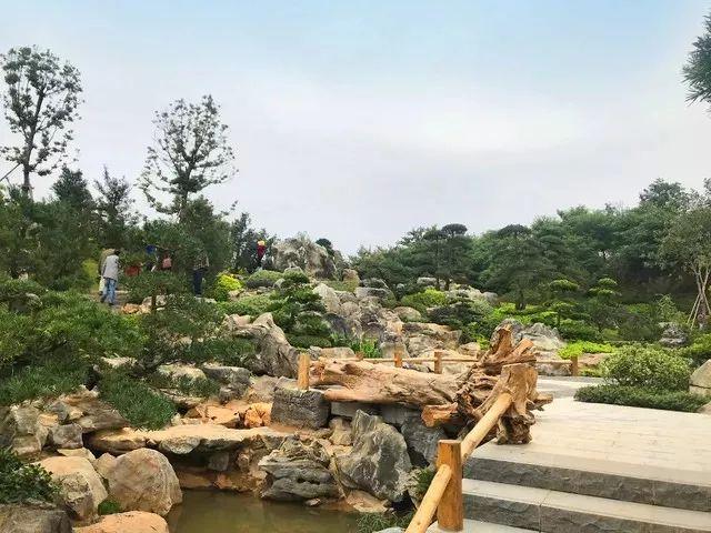 南宁园博园游玩路线（带你全方位欣赏南宁园博园美景）(19)