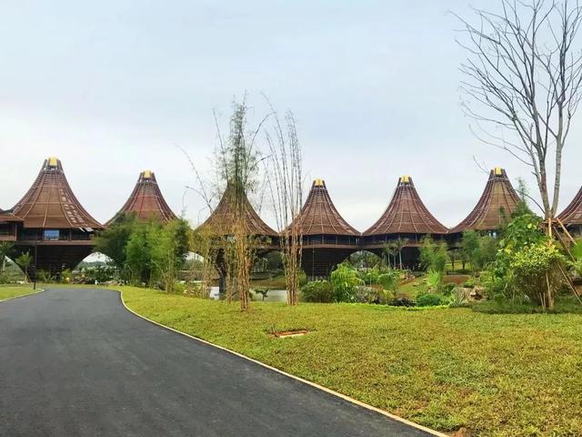 南宁园博园游玩路线（带你全方位欣赏南宁园博园美景）(20)