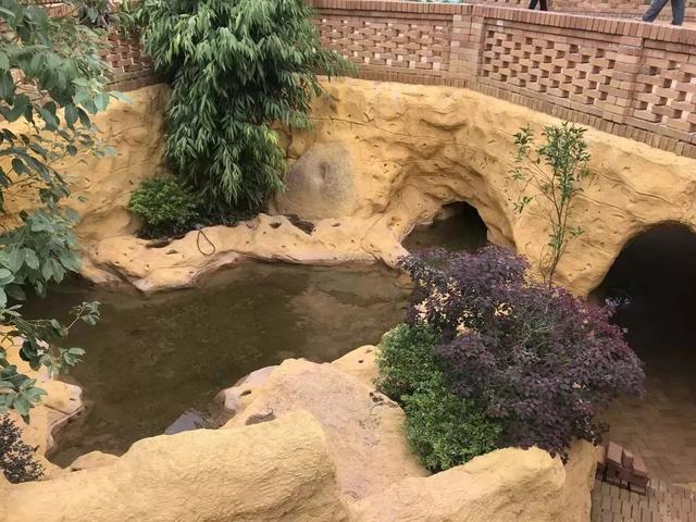 南宁园博园游玩路线（带你全方位欣赏南宁园博园美景）(27)