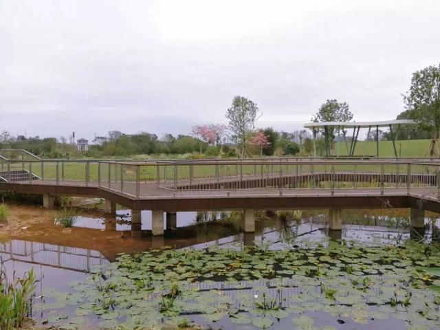 南宁园博园游玩路线（带你全方位欣赏南宁园博园美景）(23)