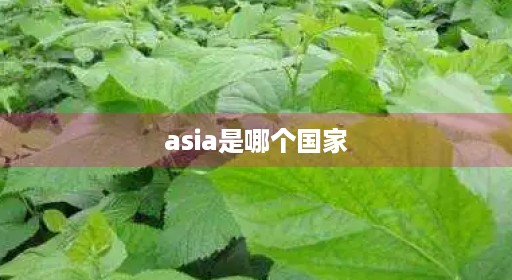 asia是哪个国家