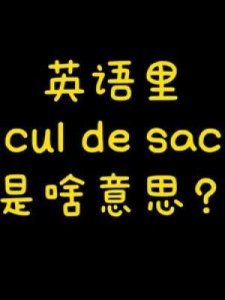 ​最喜爱的英文(最喜爱的英文怎么说)