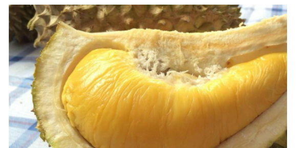 榴莲不熟要怎么放才能熟,榴莲不熟打开了怎么催熟图2