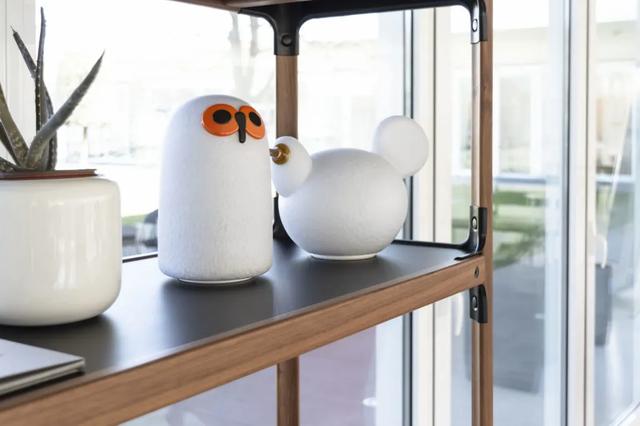 仿生设计中的仿生学（源于自然的灵感）(45)