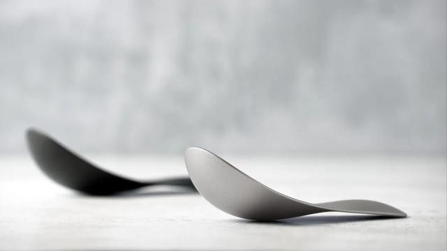 仿生设计中的仿生学（源于自然的灵感）(17)