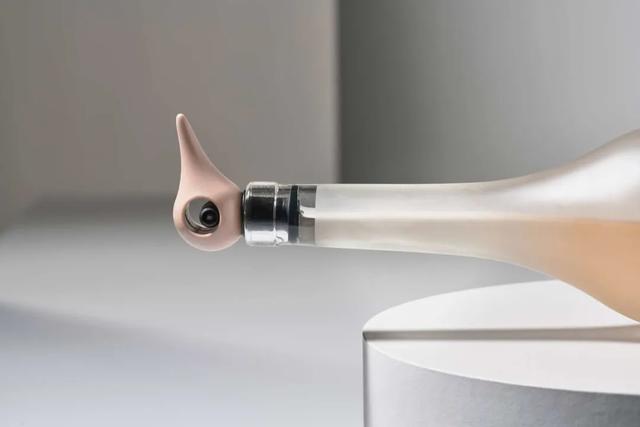 仿生设计中的仿生学（源于自然的灵感）(39)