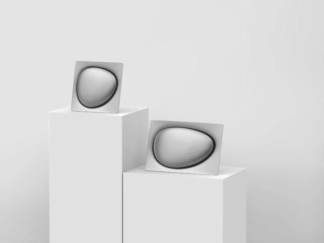 仿生设计中的仿生学（源于自然的灵感）(12)