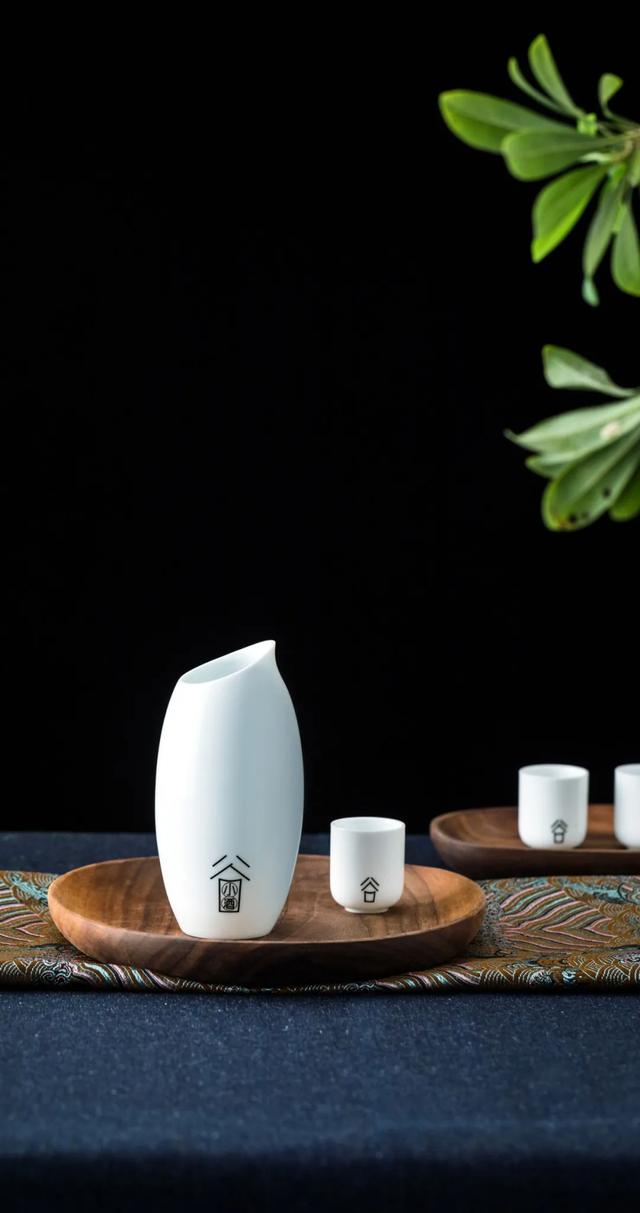 仿生设计中的仿生学（源于自然的灵感）(53)