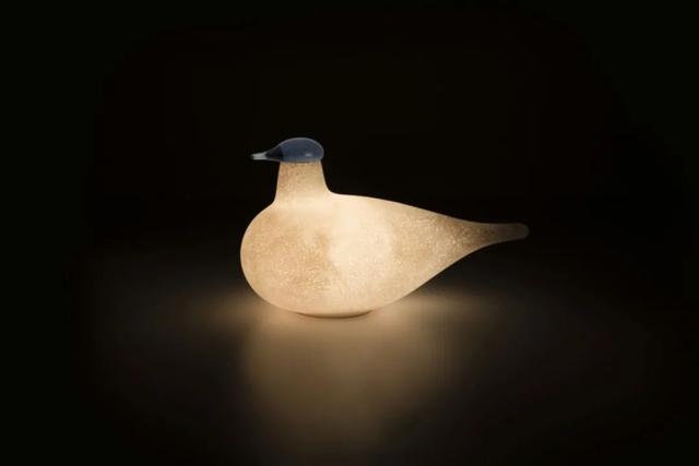 仿生设计中的仿生学（源于自然的灵感）(42)