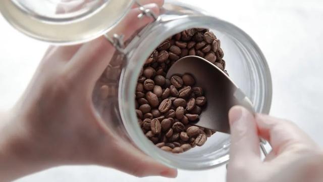 仿生设计中的仿生学（源于自然的灵感）(16)