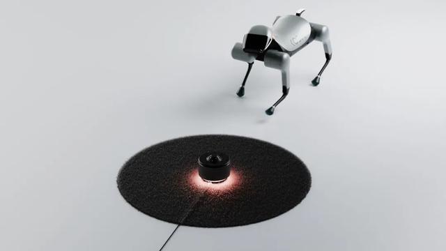 仿生设计中的仿生学（源于自然的灵感）(8)