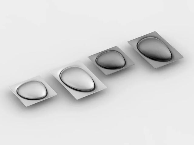 仿生设计中的仿生学（源于自然的灵感）(10)