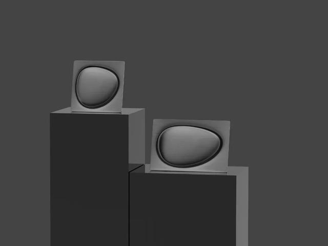 仿生设计中的仿生学（源于自然的灵感）(9)