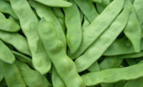 怎么做豆角出锅带油泡,豆角怎么才能熟图1