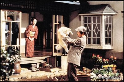 ​《忠犬八公》刚上映就哭声一片，冯小刚又戳中观众泪点了