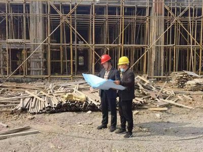 ​兰陵县大仲村镇：“四雁”融合打好产业振兴组合拳