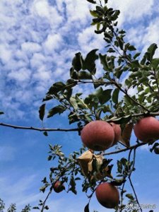 ​骗过自己 | 却骗不过所有