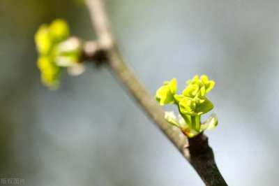 ​小长假结束，“上班”用英语怎么说？