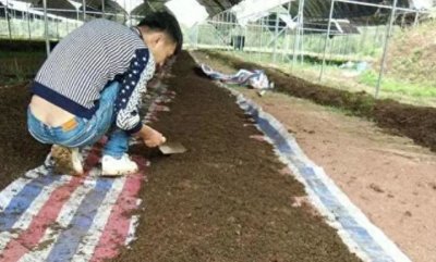 ​小投入大利润，养殖蚯蚓1年赚100万！