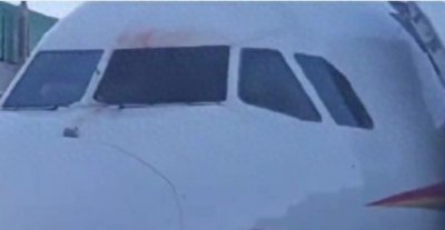 ​鸟撞飞机为什么可怕？这样的事故全球每年两万起→