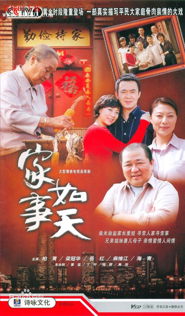 家庭题材的老电视剧推荐(8部有点悠久的家庭题材的电视剧)(7)