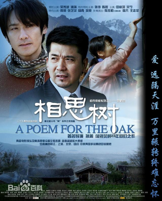 家庭题材的老电视剧推荐(8部有点悠久的家庭题材的电视剧)(2)