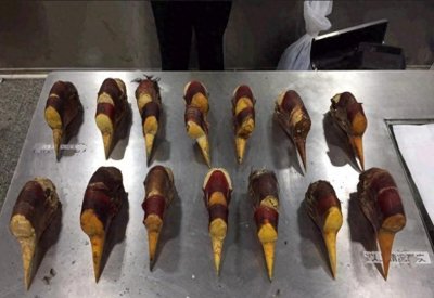 ​盔犀鸟：因头骨价值昂贵被人类盯上，活着被取骨后只能等死