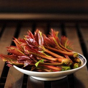 ​春天，你最不能错过的舌尖美滋味：香椿，教你正确和最好吃的做法