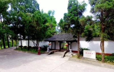 ​两把菜刀闹革命