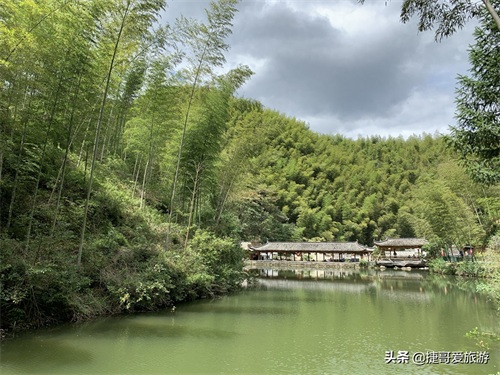 安徽省 黄山市 黟县 木坑竹海景区