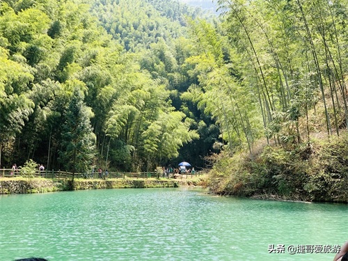 安徽省 黄山市 黟县 木坑竹海景区