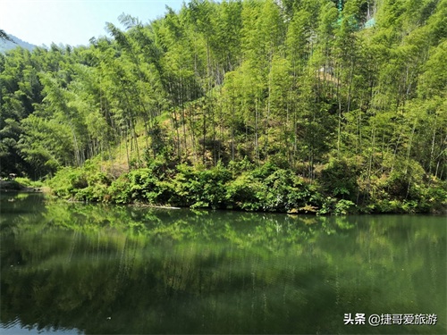 安徽省 黄山市 黟县 木坑竹海景区