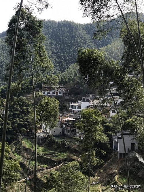 安徽省 黄山市 黟县 木坑竹海景区