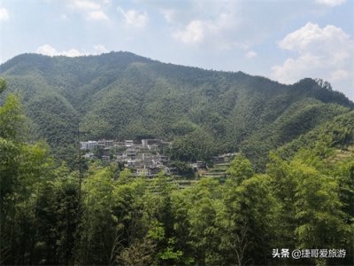 ​安徽省 黄山市 黟县 木坑竹海景区
