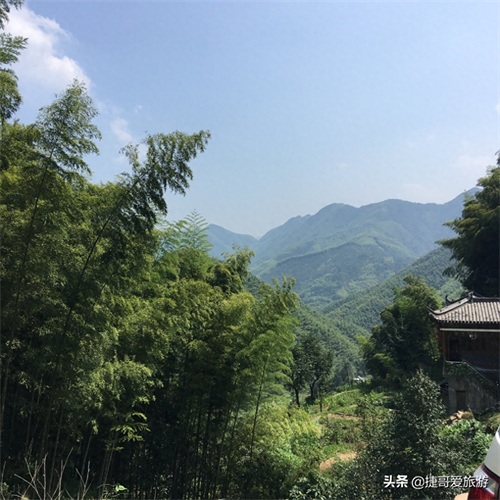 安徽省 黄山市 黟县 木坑竹海景区