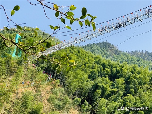 安徽省 黄山市 黟县 木坑竹海景区